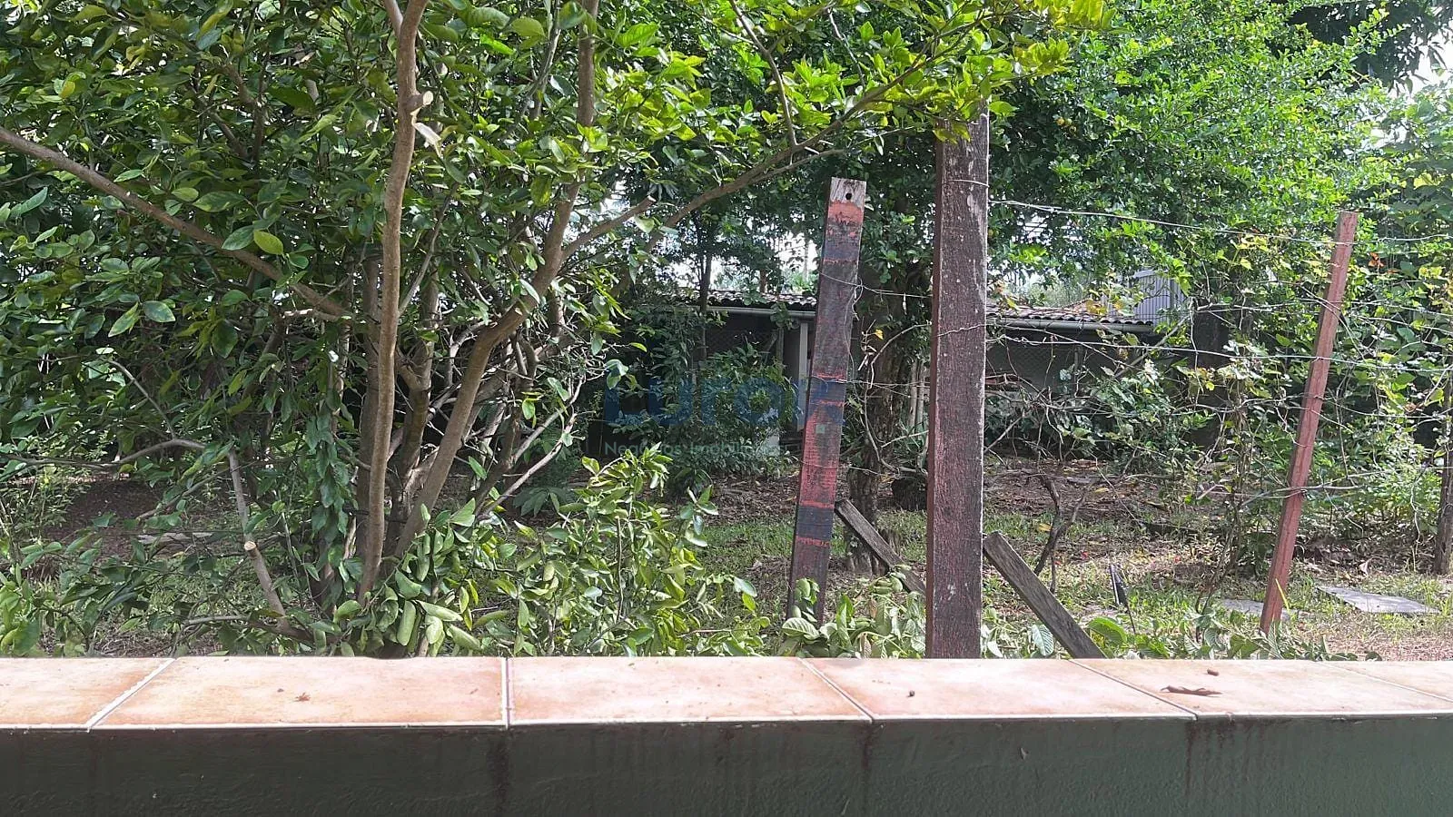 Chácara, 3 quartos, 2480 m² - Foto 24