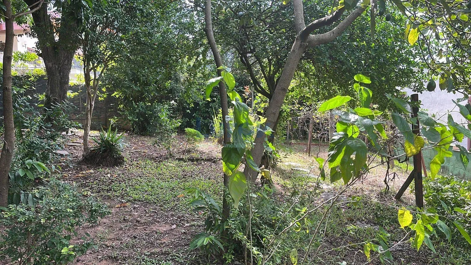 Chácara, 3 quartos, 2480 m² - Foto 28