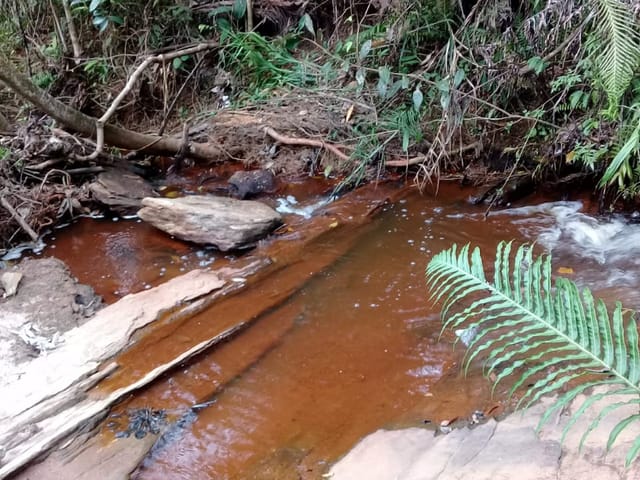 Chácara com 20000m², à venda, no bairro Mandú em Pindamonhangaba