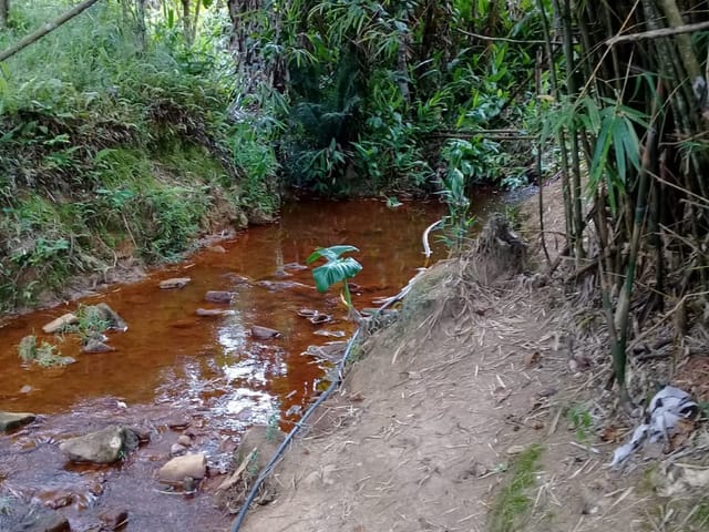 Chácara com 20000m², à venda, no bairro Mandú em Pindamonhangaba
