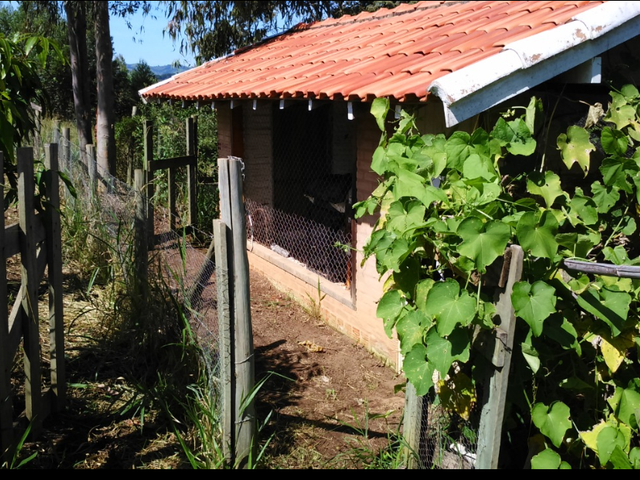 Chácara com 30000m², à venda, no bairro . em Cunha