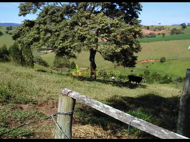 Chácara com 30000m², à venda, no bairro . em Cunha