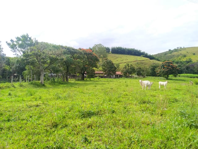 Chácara com 170000m², à venda, no bairro Bom Sucesso em Pindamonhangaba