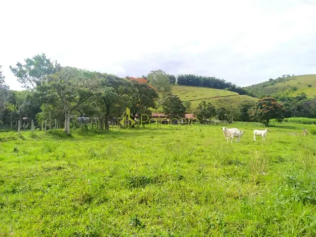 Chácara com 170000m², à venda, no bairro Bom Sucesso em Pindamonhangaba
