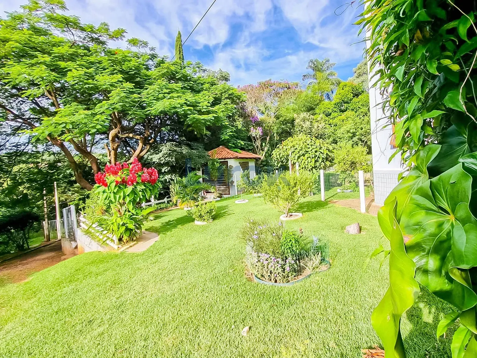 Chácara, 3 quartos, 1600 m² - Foto 26