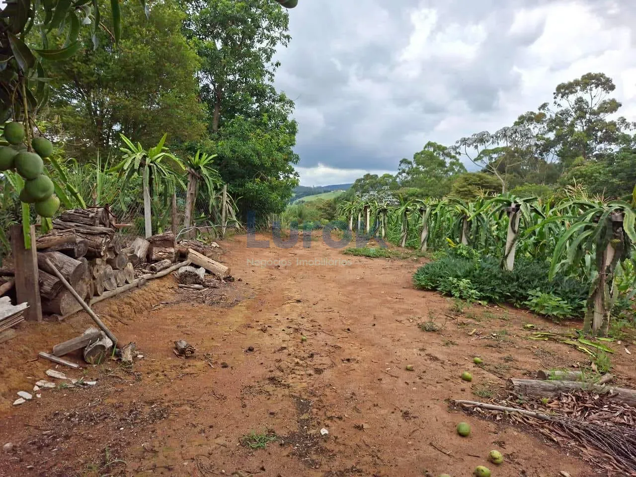 Chácara, 2 quartos, 6500 m² - Foto 21