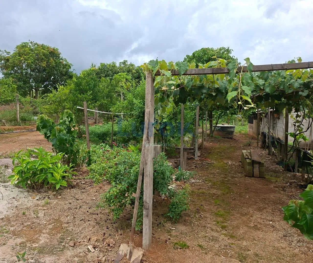 Chácara, 2 quartos, 6500 m² - Foto 23