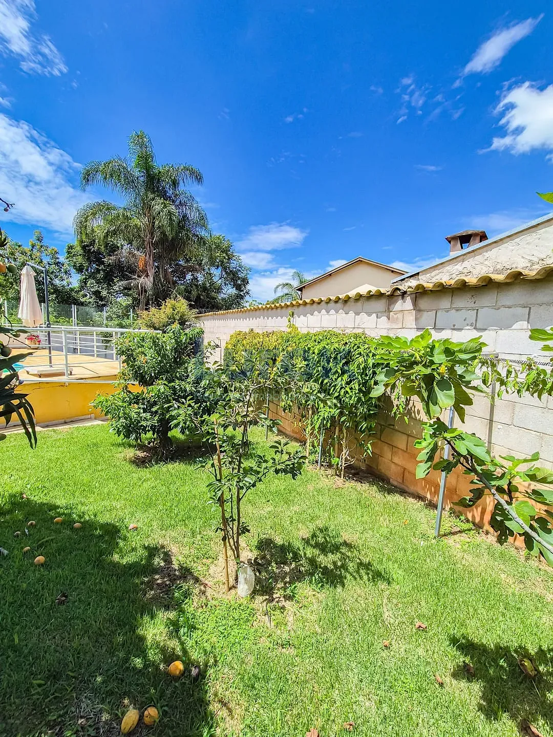 Chácara, 3 quartos, 1080 m² - Foto 34