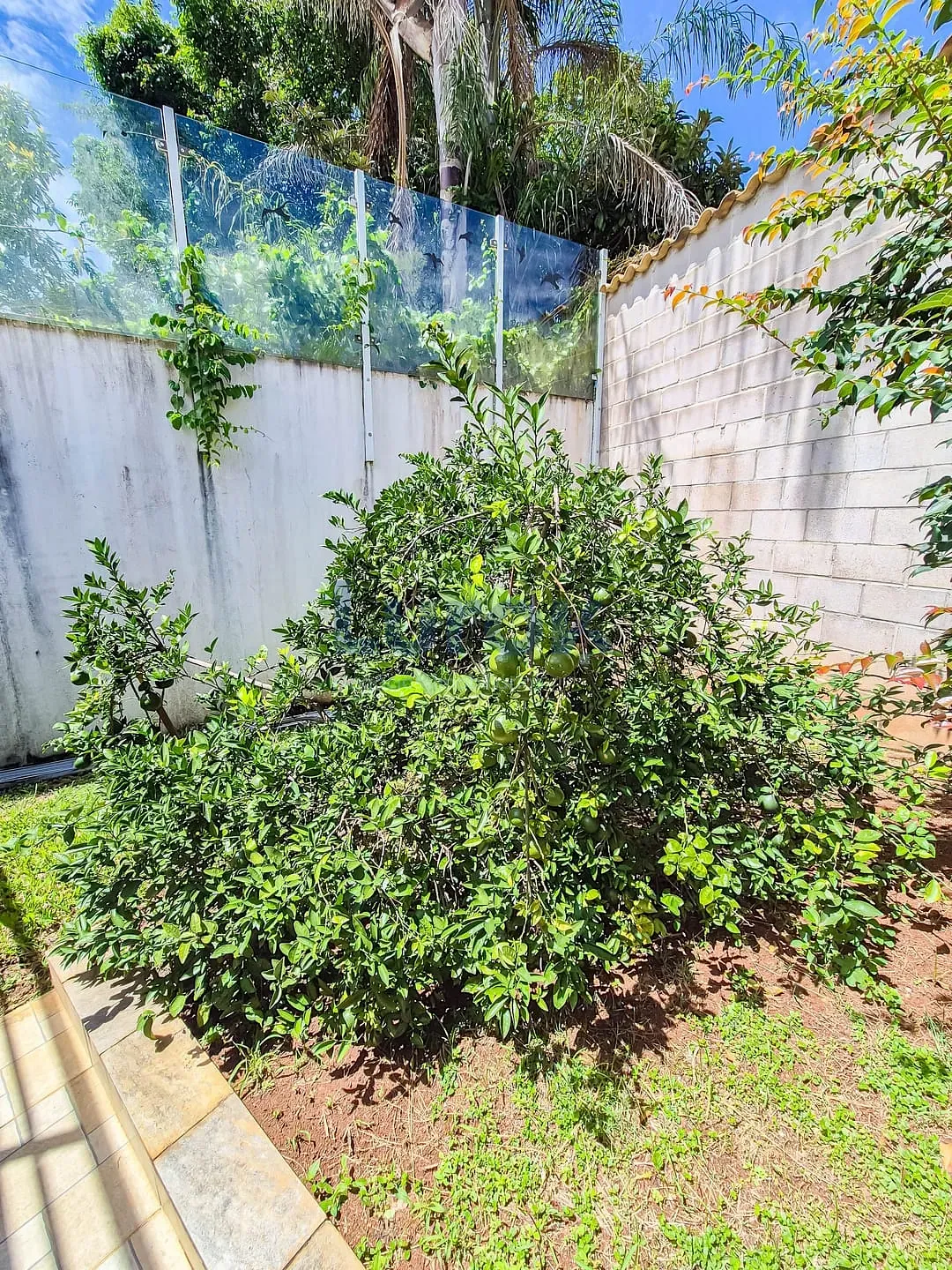 Chácara, 3 quartos, 1080 m² - Foto 36