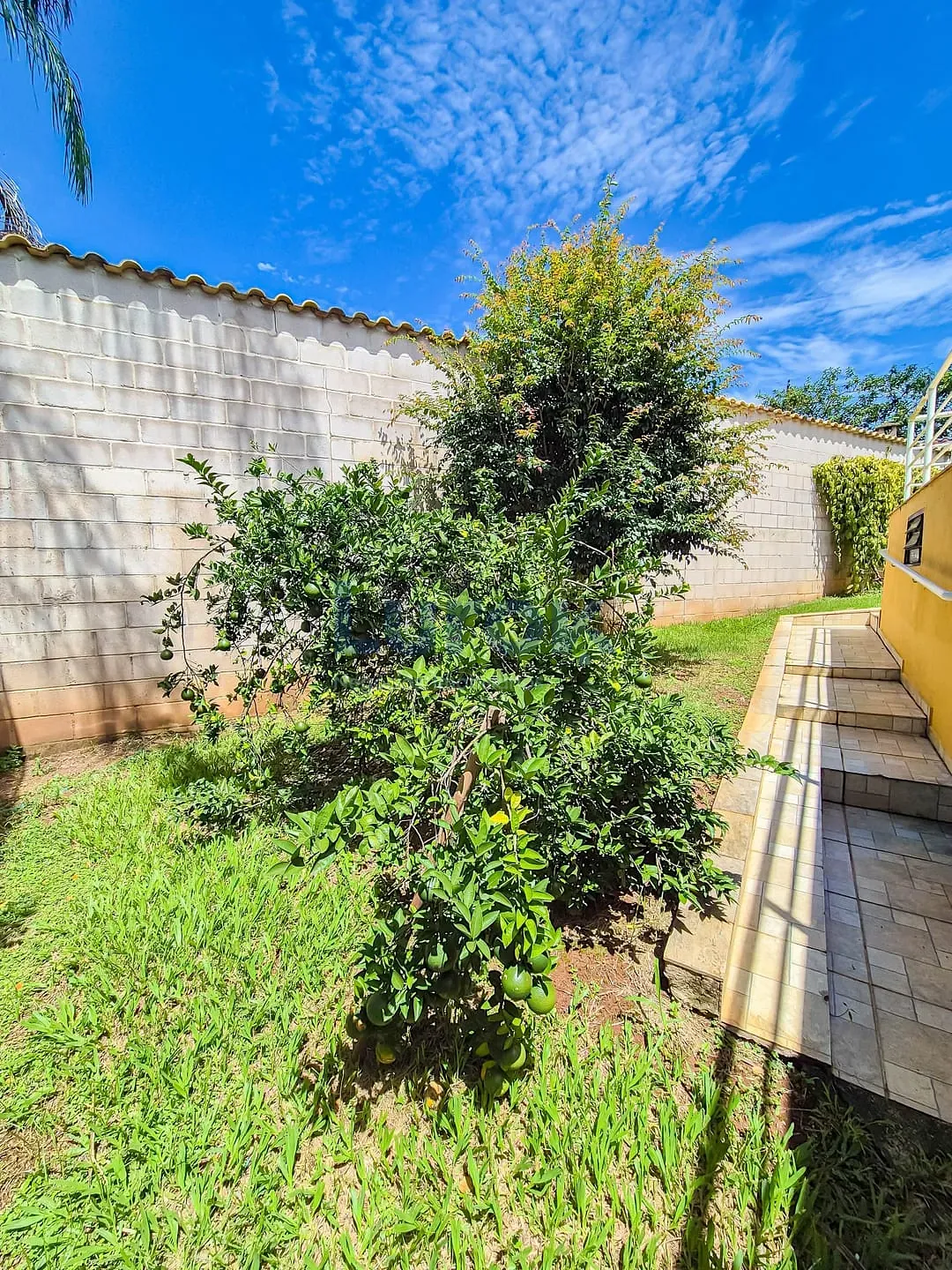 Chácara, 3 quartos, 1080 m² - Foto 37