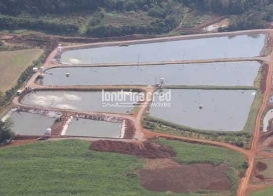 Sítio, 1 quarto, 10 m² - Foto 3