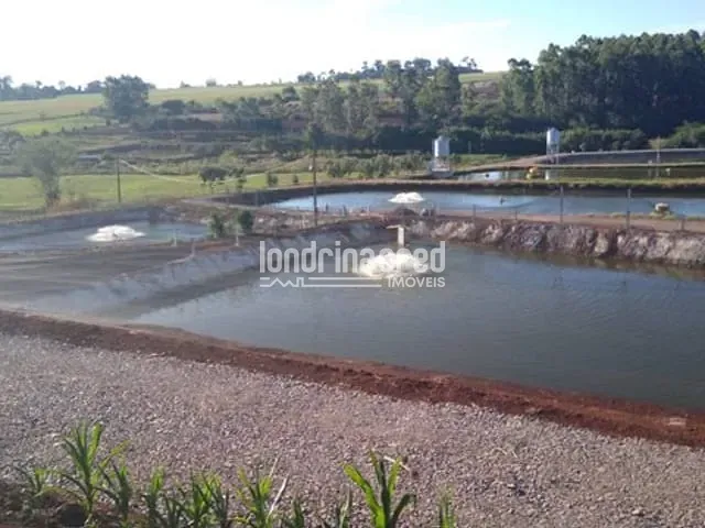 Chácara à venda, no bairro Zona Rural em Nova Santa Rosa