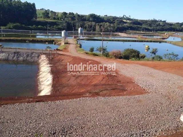 Chácara à venda, no bairro Zona Rural em Nova Santa Rosa