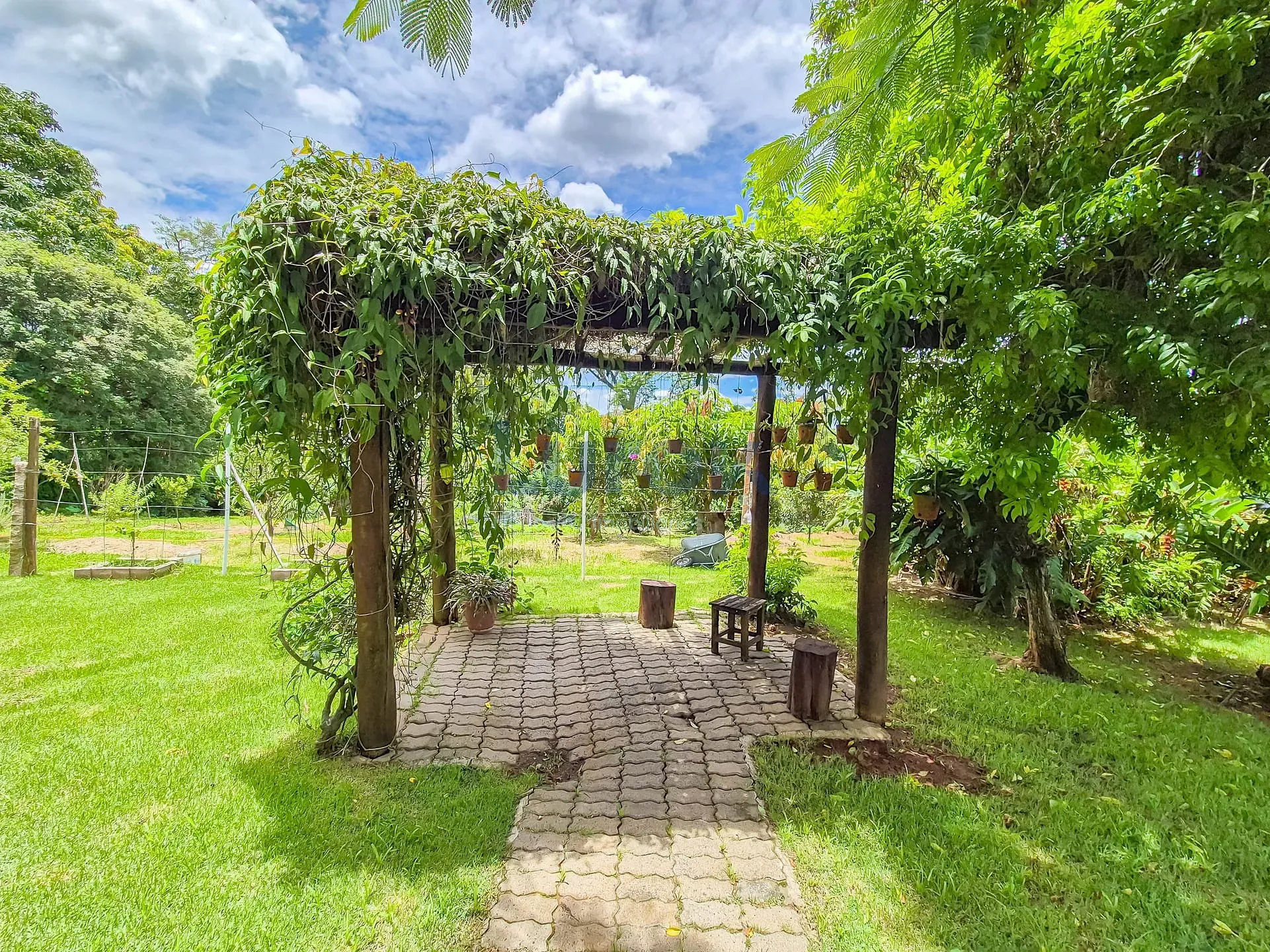 Chácara, 3 quartos, 3228 m² - Foto 45