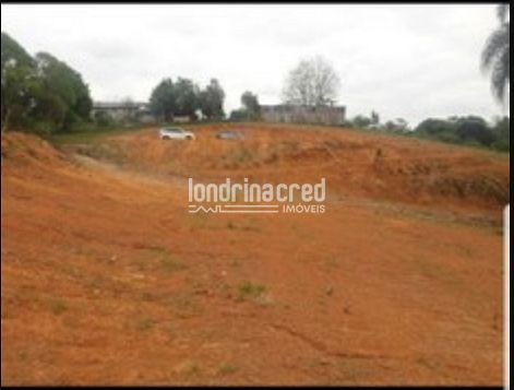 Sítio, 1 quarto, 10 m² - Foto 2