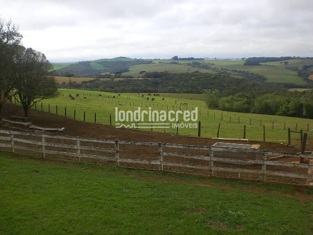 Sítio, 1 quarto, 10 m² - Foto 2