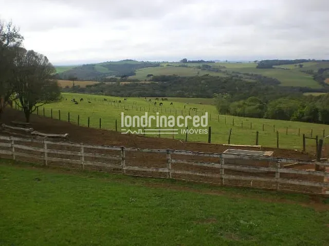 Chácara à venda, no bairro Zona Rural em Ponta Grossa