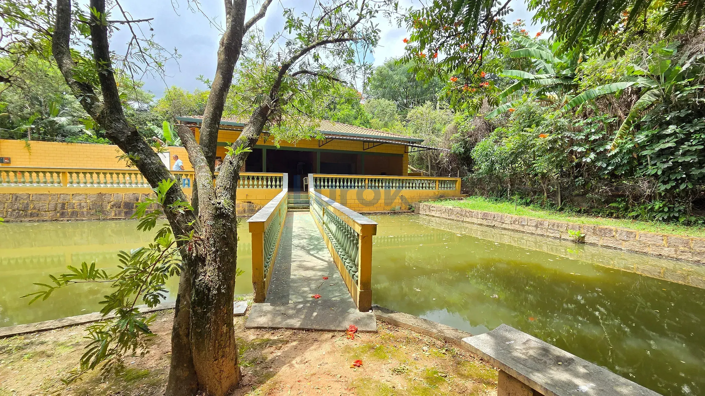 Chácara, 2 quartos, 2053 m² - Foto 3