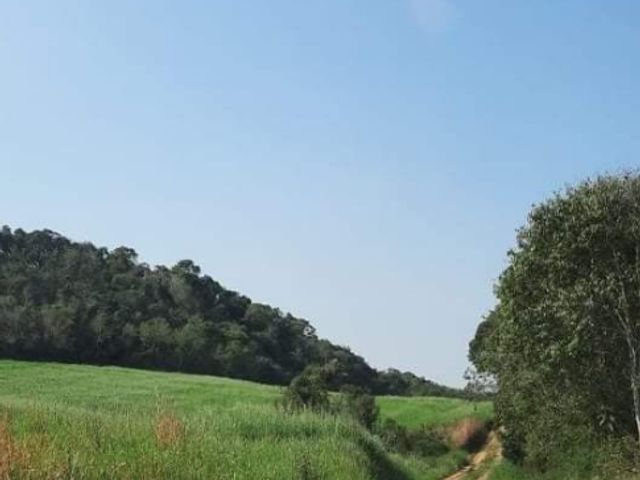 Foto do Chácara - Chácara à venda Zona Rural, Major Vieira - SC | Londrina Cred Imóveis