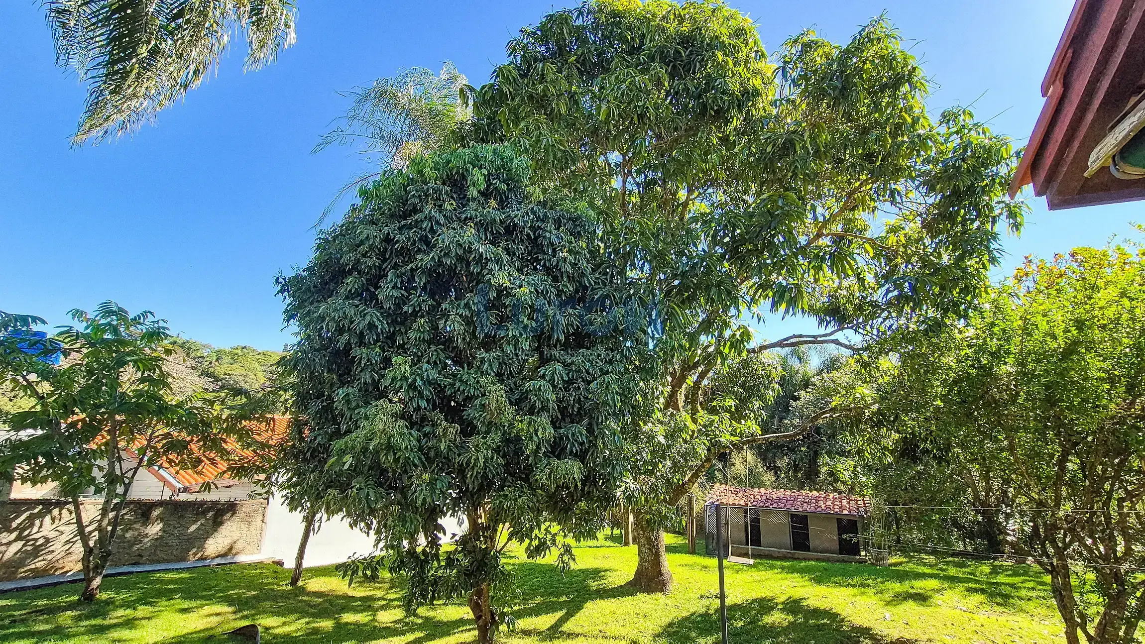 Chácara, 3 quartos, 2000 m² - Foto 19