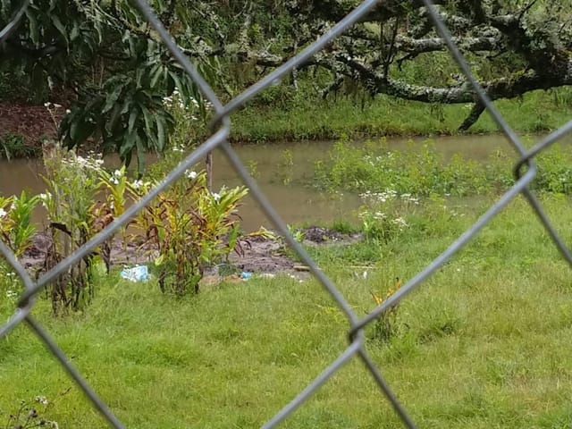 Chácara com 24000m² 5 quartos e 3 banheiros, à venda, no bairro Zona Rural em São Luiz Do Paraitinga
