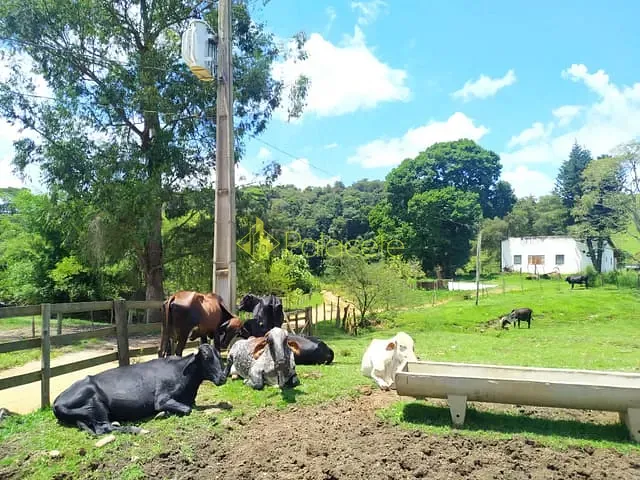 Chácara com 411400m² 2 quartos e 1 banheiro, à venda, no bairro Zona Rural em Cunha