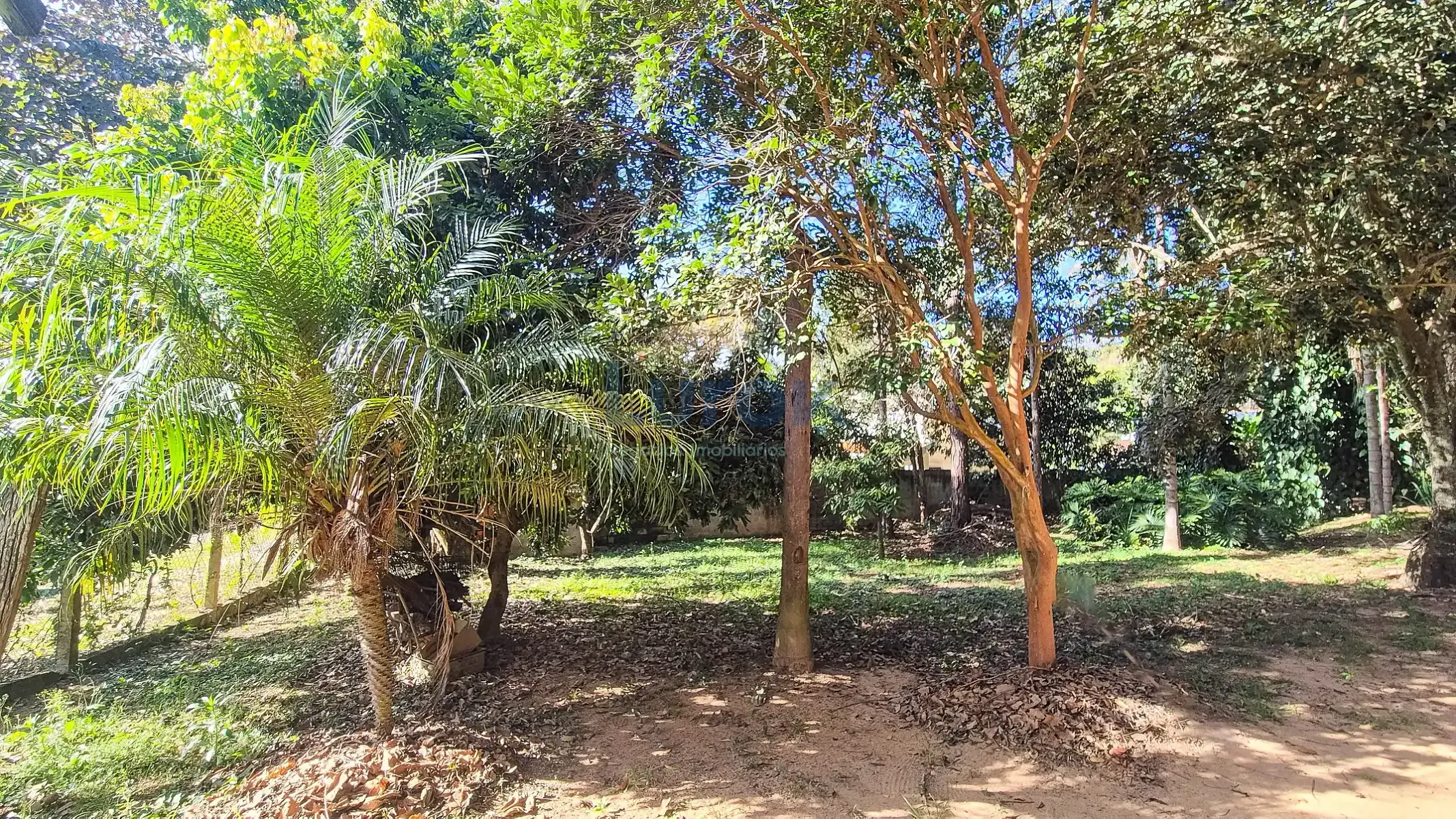 Chácara, 2 quartos, 2250 m² - Foto 9