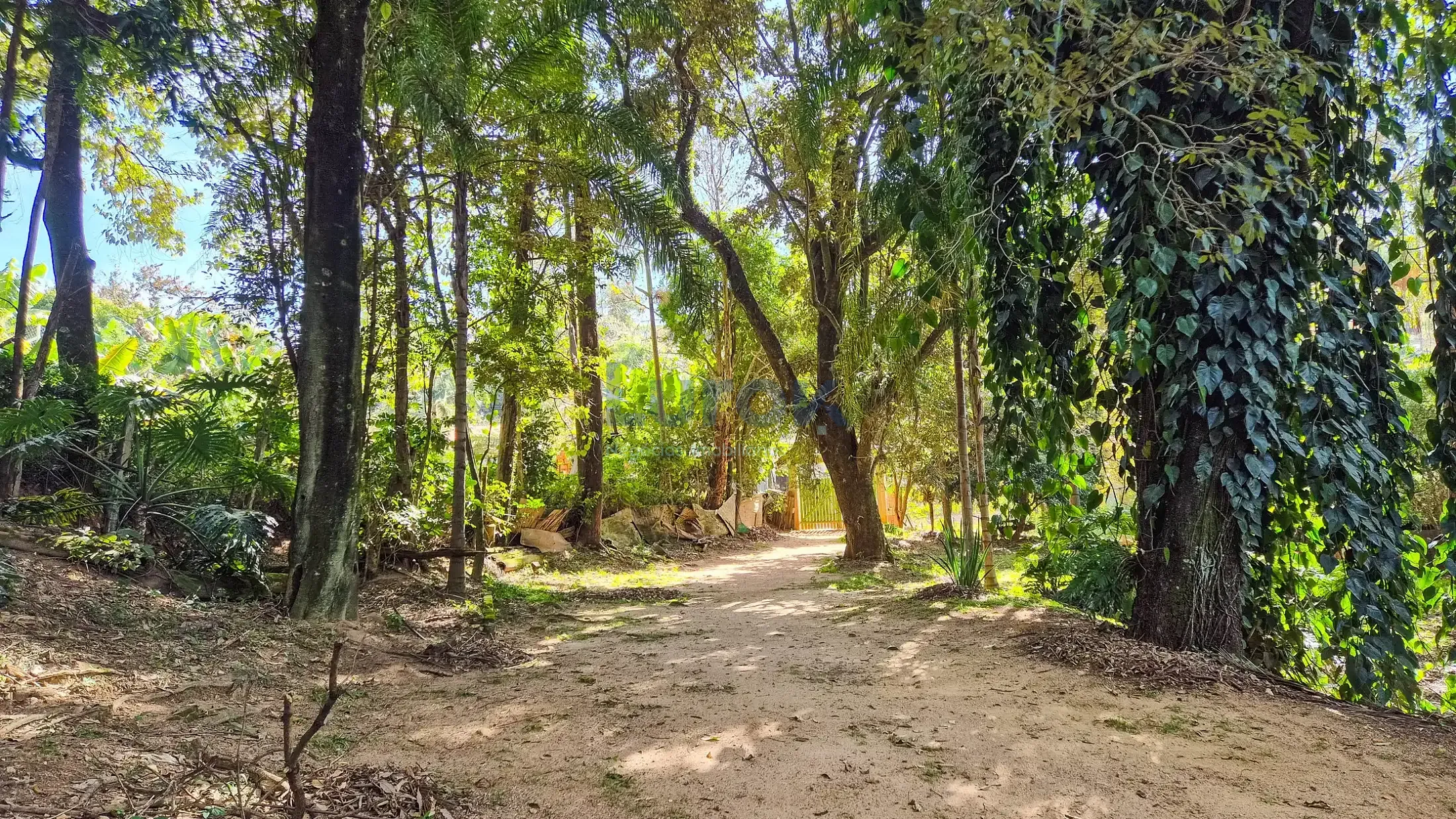 Chácara, 2 quartos, 2250 m² - Foto 13