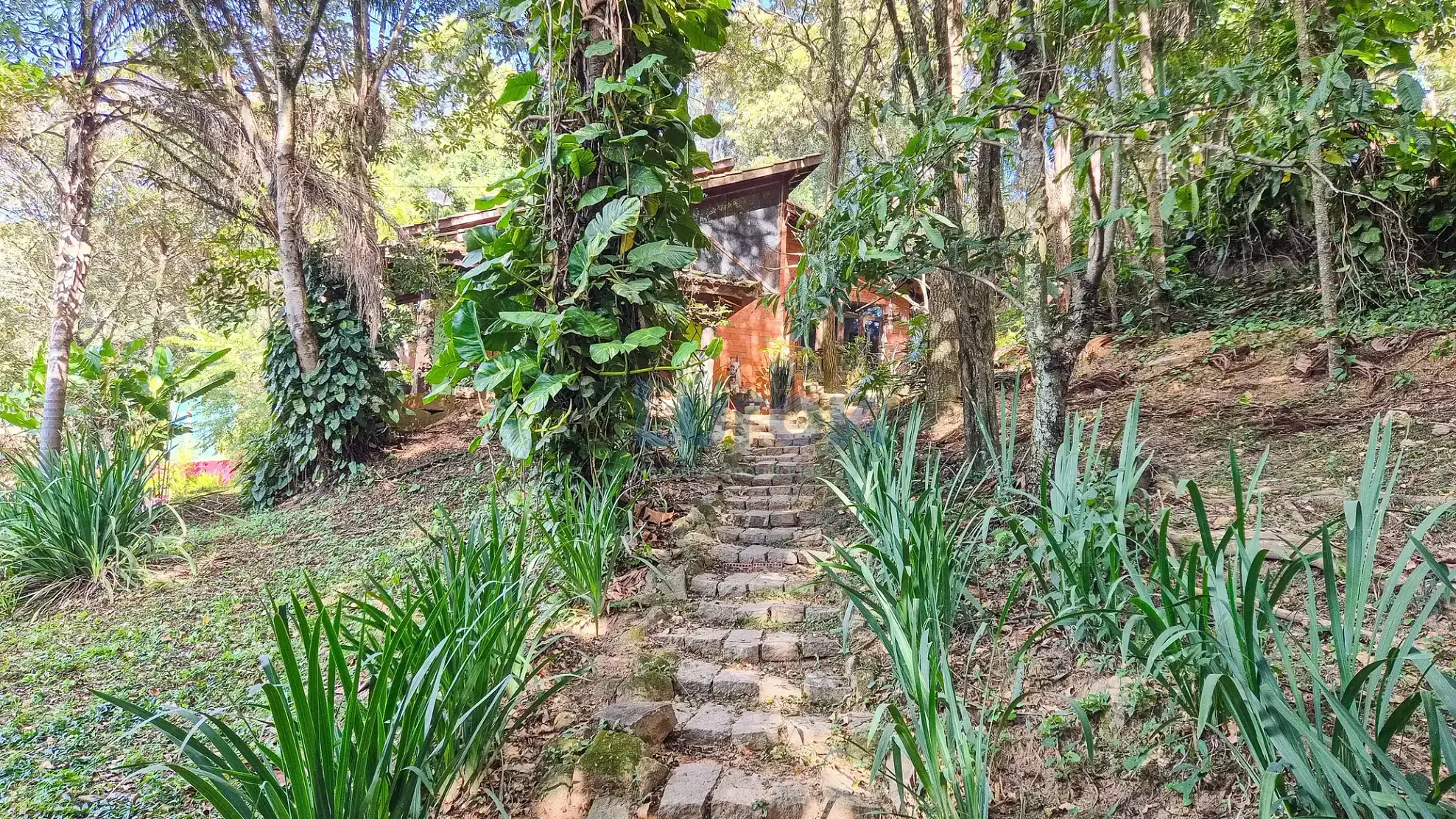 Chácara, 2 quartos, 2250 m² - Foto 2