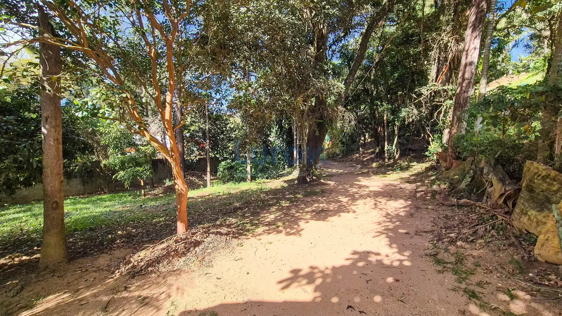 Chácara, 2 quartos, 2250 m² - Foto 14