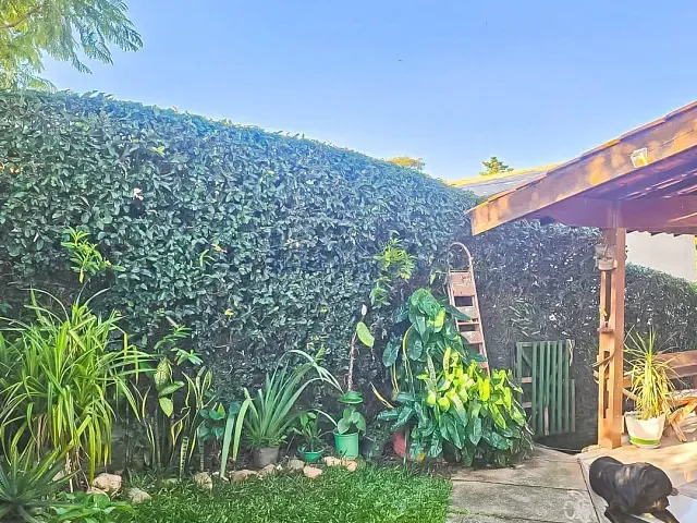Chácara com 780m² 3 quartos e 2 banheiros, à venda, no bairro Vale Verde em Valinhos