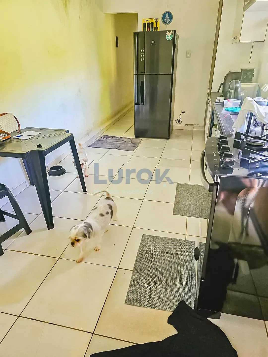 Chácara, 3 quartos, 780 m² - Foto 32