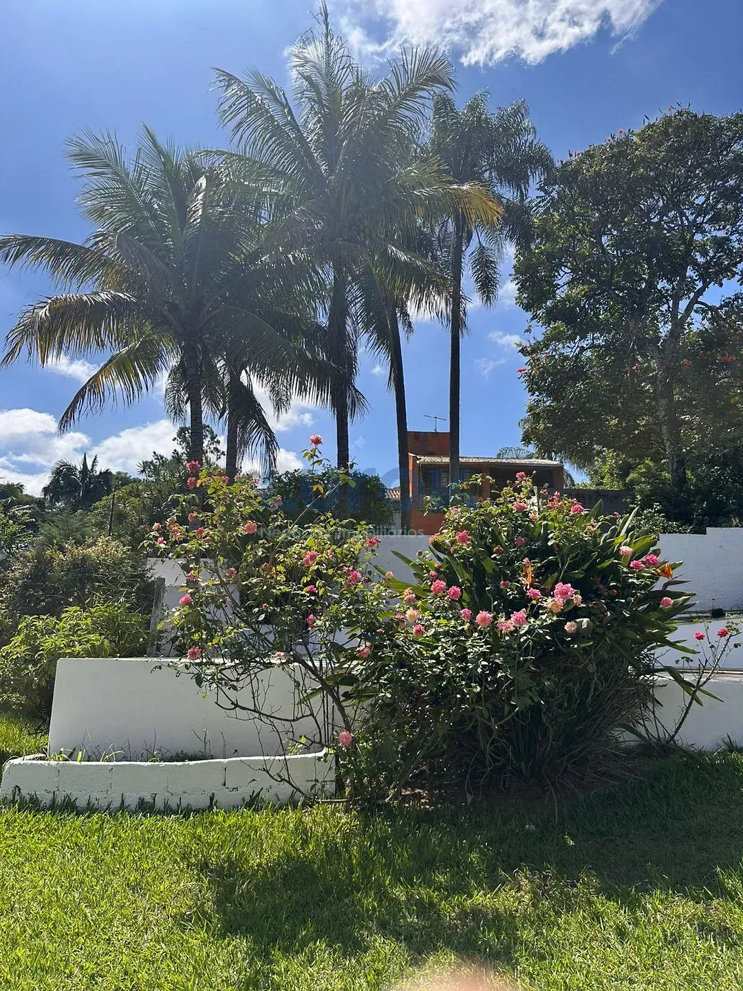 Chácara, 2 quartos, 880 m² - Foto 45