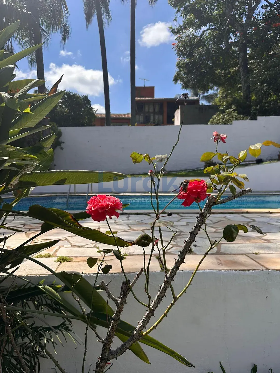 Chácara, 2 quartos, 880 m² - Foto 35