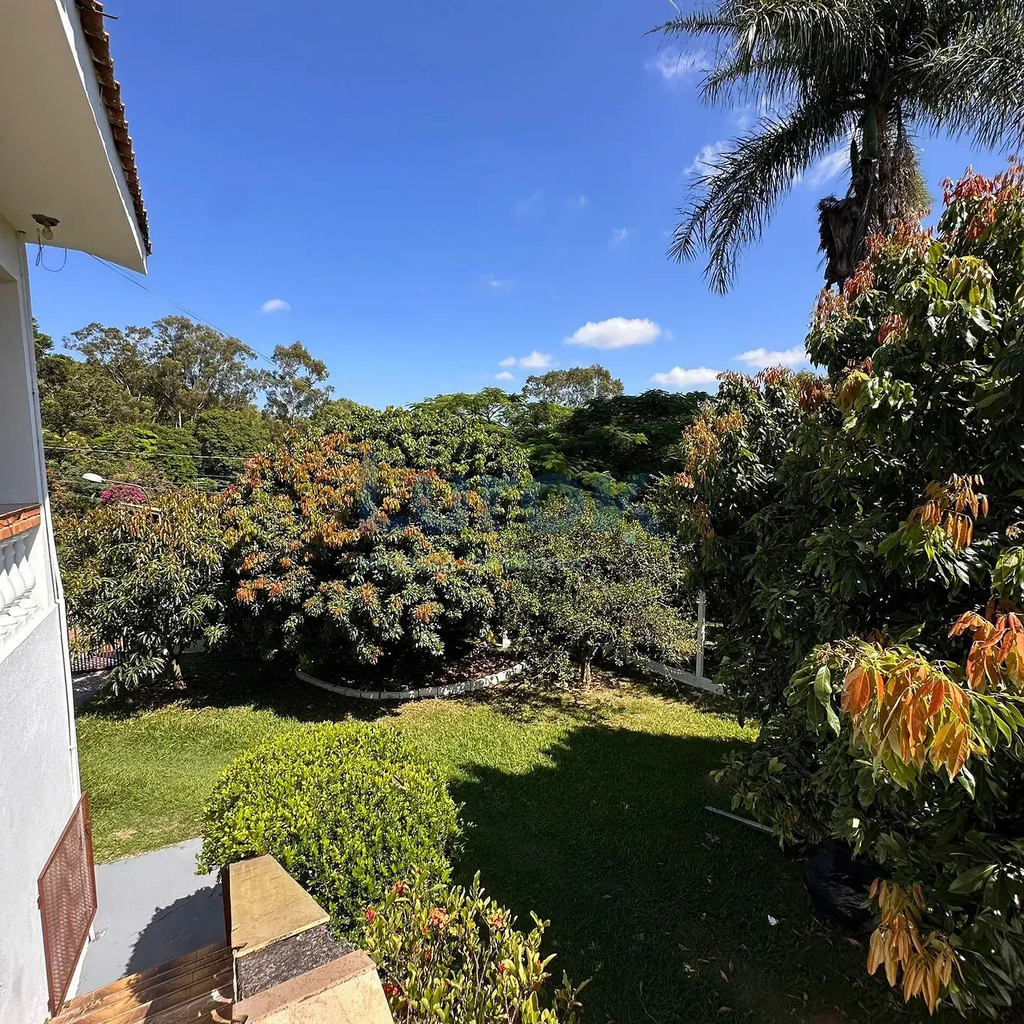 Chácara, 2 quartos, 880 m² - Foto 42