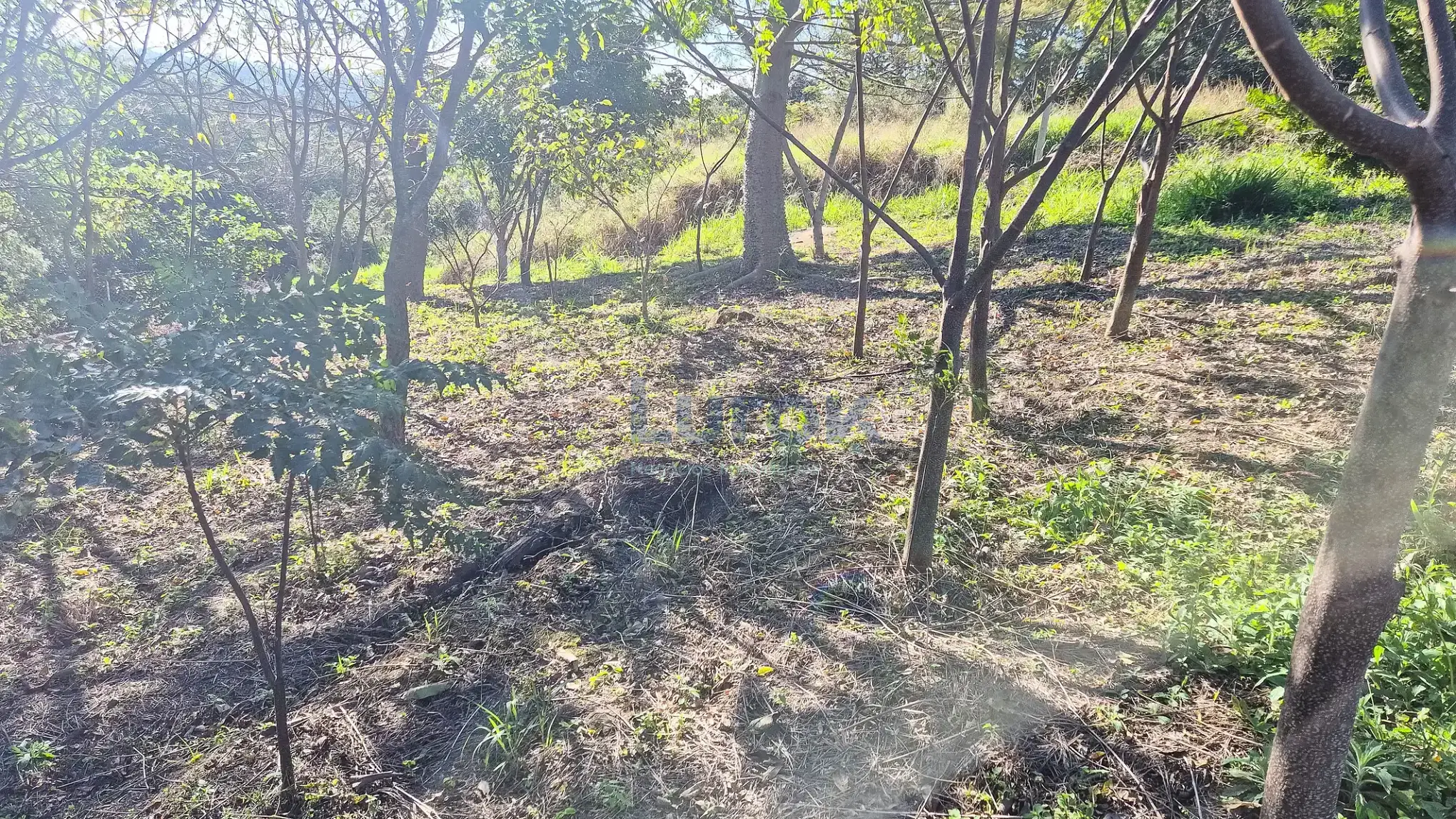 Chácara, 3 quartos, 5000 m² - Foto 40