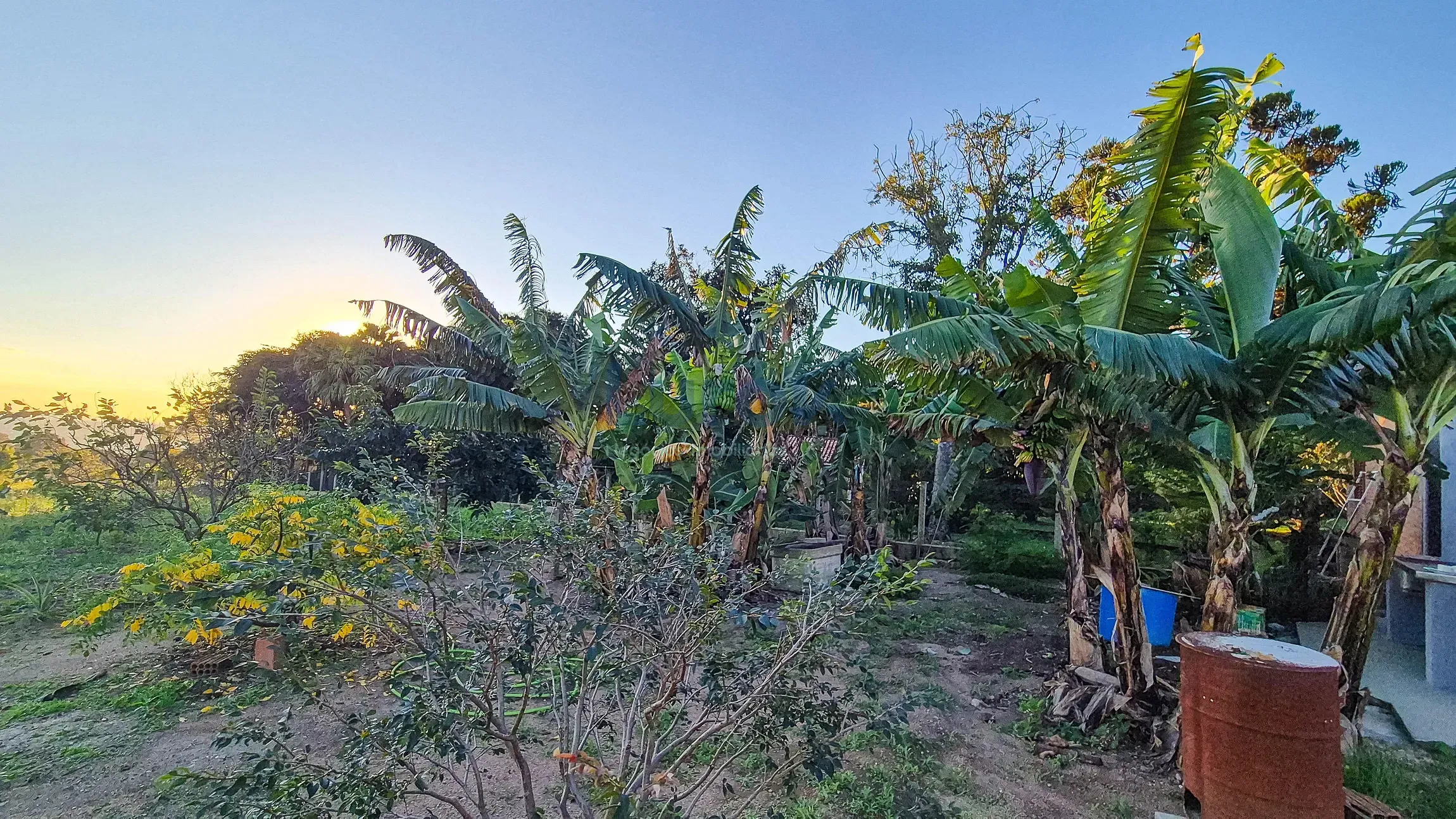 Chácara, 3 quartos, 5000 m² - Foto 43