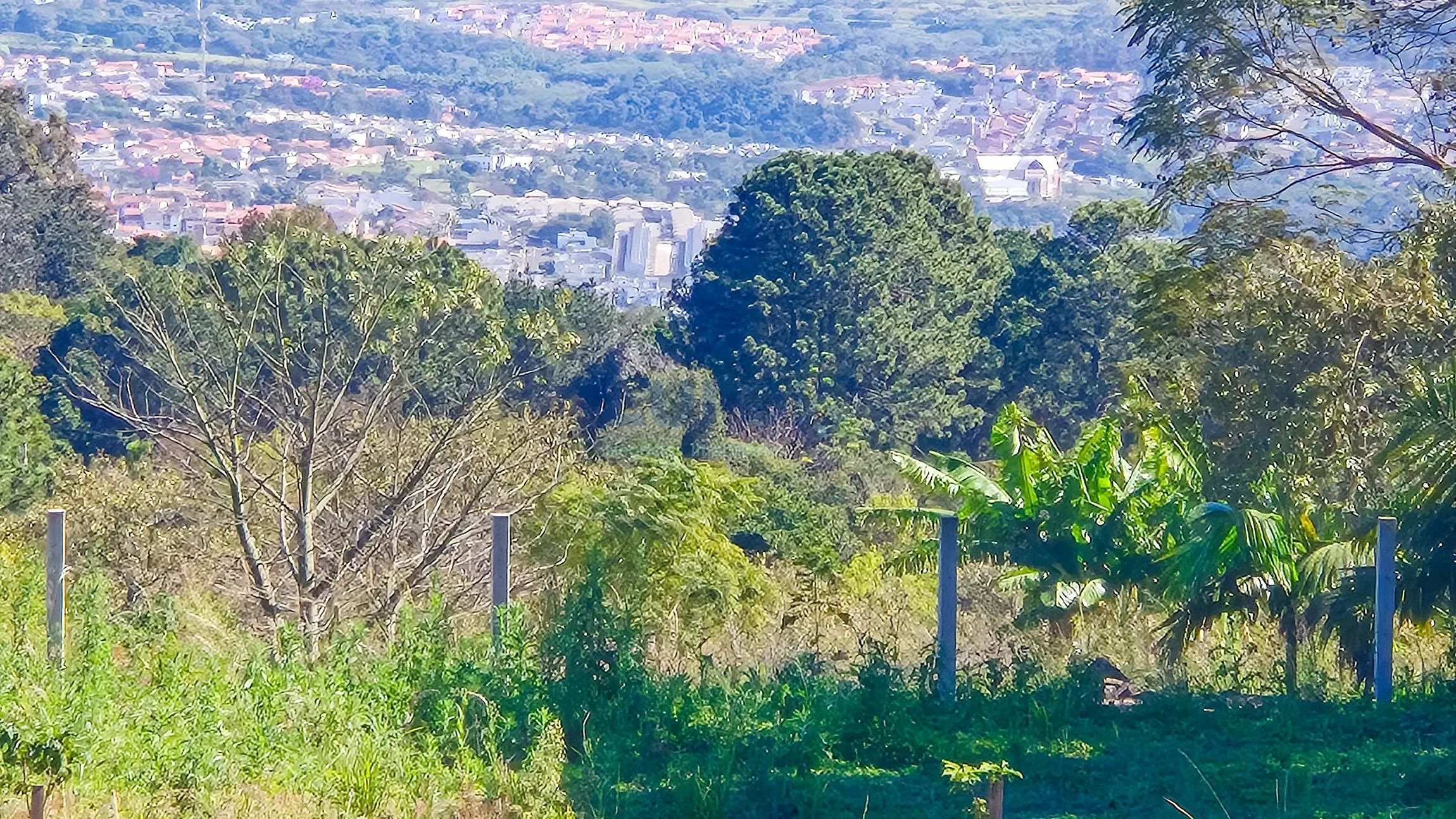 Chácara, 3 quartos, 5000 m² - Foto 44