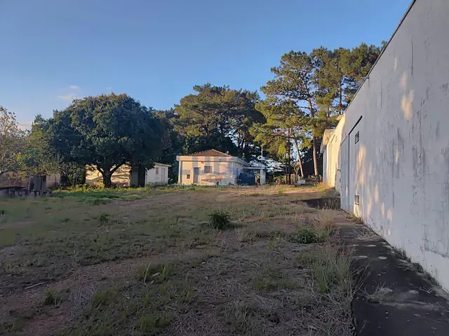 Chácara com 10000m², à venda ou para alugar, no bairro Chácaras Alpina em Valinhos