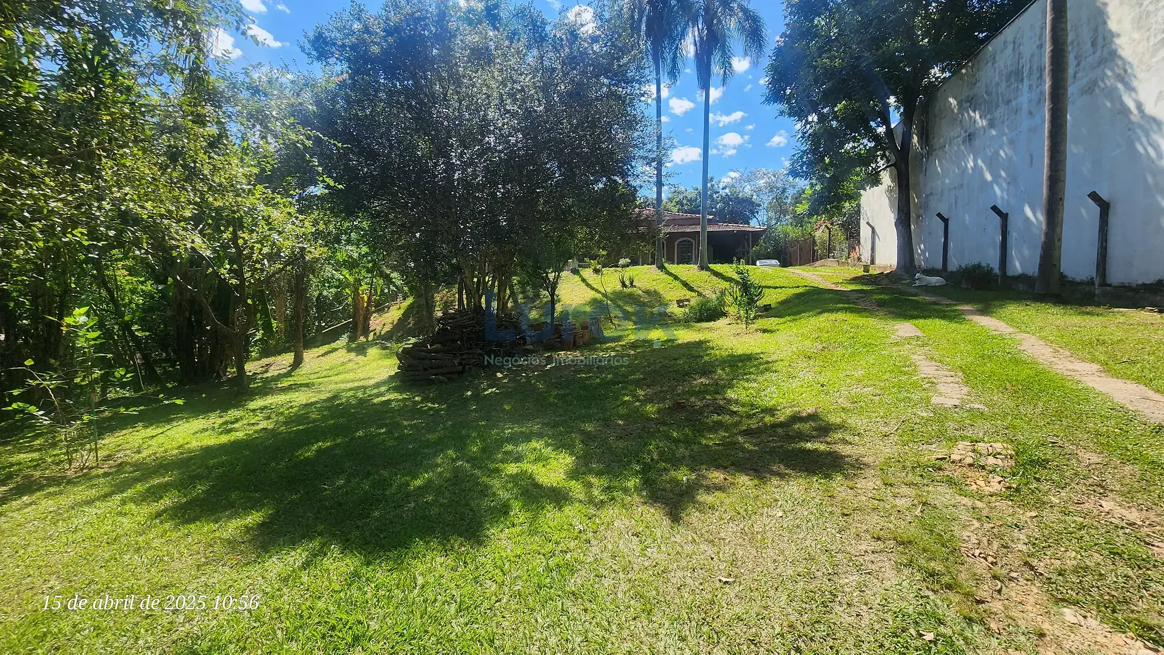 Chácara, 2 quartos, 2000 m² - Foto 2