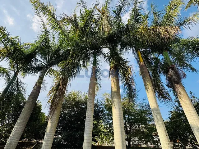 Chácara com 1208m² 3 quartos e 4 banheiros, à venda, no bairro Chácaras São Bento em Valinhos