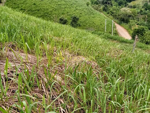 Chácara com 1002m², à venda, no bairro Barreirinho em Santo Antônio do Pinhal