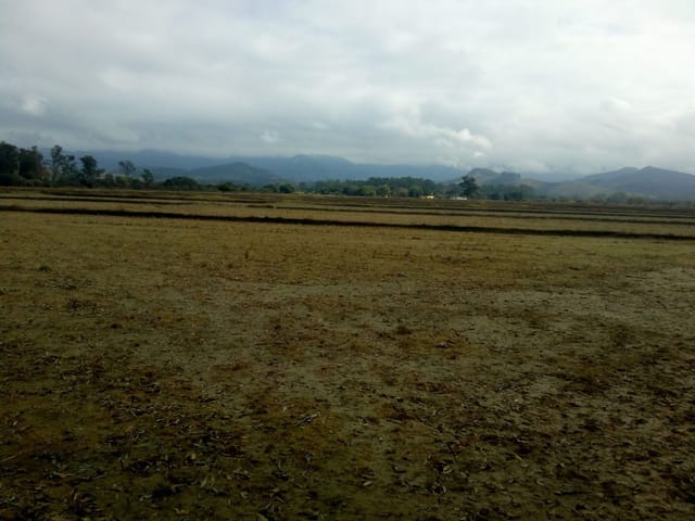 Chácara com 363000m², à venda, no bairro Bonsucesso em Pindamonhangaba