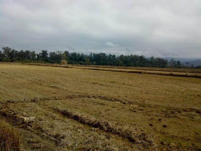 Chácara com 363000m², à venda, no bairro Bonsucesso em Pindamonhangaba