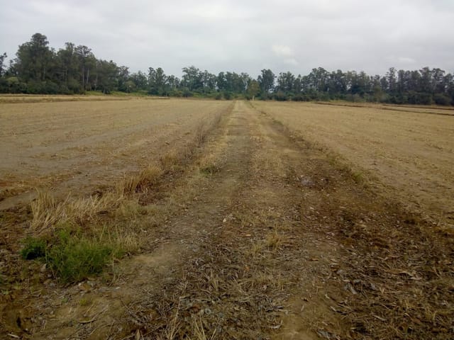 Chácara com 363000m², à venda, no bairro Bonsucesso em Pindamonhangaba