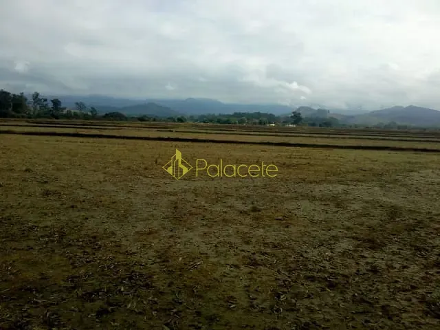 Chácara com 363000m², à venda, no bairro Bonsucesso em Pindamonhangaba