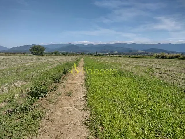Chácara com 363000m², à venda, no bairro Bonsucesso em Pindamonhangaba