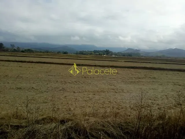 Chácara com 363000m², à venda, no bairro Bonsucesso em Pindamonhangaba