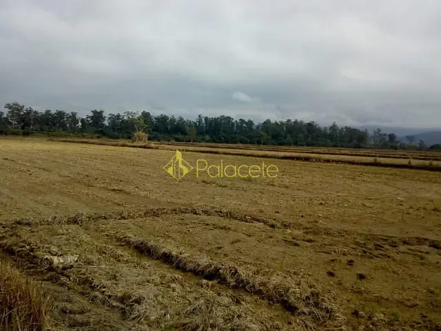 Chácara com 363000m², à venda, no bairro Bonsucesso em Pindamonhangaba