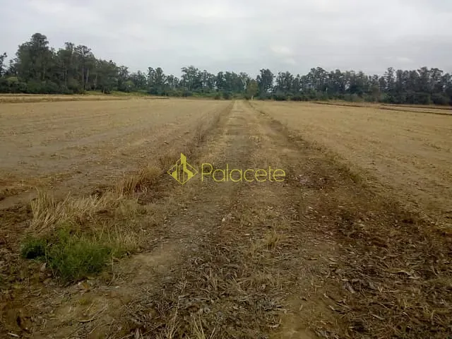 Chácara com 363000m², à venda, no bairro Bonsucesso em Pindamonhangaba
